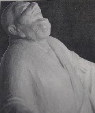 ��@���юR�Ζؒ��摜